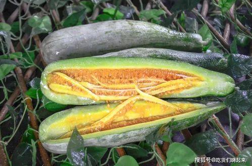 新沂网红吃瓜,揭秘网络红人的幕后故事 第3张 新沂网红吃瓜,揭秘网络红人的幕后故事 第3张